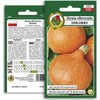 Giant Pumpkin Dolores PNOS Vegetable Seeds, 5g Packaging