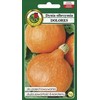 Giant Pumpkin Dolores PNOS Vegetable Seeds, 5g Packaging