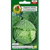 Langedi Cabbage PNOS Vegetable Seeds, 2g Package