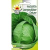 Langedi Cabbage PNOS Vegetable Seeds, 2g Package