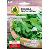Arugula Eruca Sativa PNOS Seeds on Tape, 6m Tape