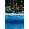 AQUA NOVA fonas šaknys/vanduo 60x30cm