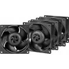 Arctic Cooling ARCTIC S8038-10K serverio korpuso ventiliatorius 10000rpm PWM 80mm 4vnt.