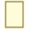 ARGO Galeria Papieru Diplomų popierius Auksinis, A4, 250g (20) 0710-004