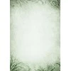 Galeria Papieru Popierius diplomams A4 170g 25l EMERALD
