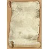 Galeria Papieru Diplomų popierius Papirusas, A4, 250g (20) 0710-011