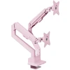 Monitorius Arozzi TIS Alzare Neo Duo 17"-32" 2TFT 3Gelenke Max.9KG pink