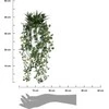 Art-Pol Dirbtinis augalas PEPEROMIA, kabantis
