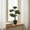 Dirbtinis bonsai medelis tamsiame vazone ant palangės
