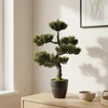 Art-Pol Dirbtinis bonsai medelis vazone, 32 x 32 x 50 cm