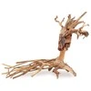 Art-Pol Skęstantis bonsai medelis Nr. 14 25x20
