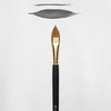 Artequipment Rembrandt Oil & Acrylic Series 245 No. 16