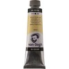 Talens Van Gogh Aliejiniai dažai 40ml 222 Naples Geltona Light