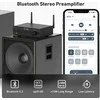 Arylic Arylic BP50 – išankstinis stiprintuvas su DAC Bluetooth
