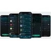 Arylic Arylic Up2Stream Amp sub- Multiroom Belaidis žemų dažnių stiprintuvas valdyba