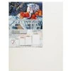 Astra Tapyba Subimage 40x50cm (161836)