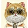 Nimmy Apple iPhone 16 6.1" dėklas telefonui haki spalvos Cool&Cute 2.0 Cat