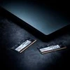 ADATA 32GB 5600 SO-DIMM operatyvinė atmintis