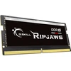G.Skill | Ripjaws | 32 GB | DDR5 | 5600 MHz | Kompiuteris/serveris | Registracijos Nr. | ECC Nr.