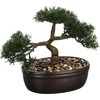 Bikuvalt Dekoratyvinis augalas Bonsas 32x16x23 cm keramikinis, juodas vazonas 103379