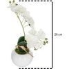 Bikuvalt Dekoratyvinis augalas Orchidėja su vazonu 20x20x26 cm (mix) Atmosphera 155716