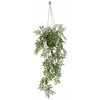 Atmosphera Kabantis bambukas vazone LIORA, 67 cm