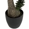 Atmosphera Dirbtinė juka vazone YUCCA, aukštis 130 cm