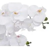 Atmosphera Dirbtinė orchidėja vazone RIVA, 60 cm