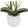 Atmosphera Dirbtinė orchidėja vazone RIVA, 60 cm
