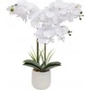 Atmosphera Dirbtinė orchidėja vazone RIVA, 60 cm