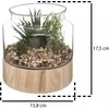 Atmosphera Dirbtiniai augalai, aukštis 17,5 cm, stikliniame terariume remiantis