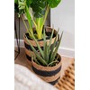Atmosphera Aloe Dirbtinis alavijo augalas krepšelyje, 37 cm