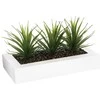 Aloe Gėlių vazonas su trimis alavijo sodinukais, papuošimas dirbtiniais augalais Atmosphera Créateur d'intérieur