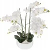 Atmosphera Dirbtinis augalas ORCHIDEE, baltas gėlių vazonas, 65 cm