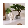 Atmosphera Sztuczne drzewko bonsai POLIN, aukštis 60 cm