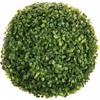 Artificial plant Atmosphera Buxus. žalias. 28 cm x 28 cm