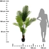 Atmosphera Artificial Palm in a Pot, height 170 cm