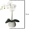 Atmosphera ORCHIDEE REAL TOUCH CIM H.53