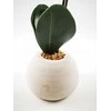 Atmosphera ORCHIDEE REAL TOUCH CIM H.53