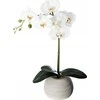 Atmosphera ORCHIDEE REAL TOUCH CIM H.53