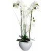 Bikuvalt Dekoratyvinis augalas Orchidėja su baltu vazonu 38x38x53 cm Atmosphera 136510B