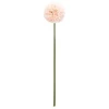 Dirbtinė šakelė Atmosphera Pompom. 60 cm