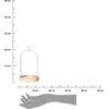 Bikuvalt Padėklas su stikliniu gaubtu D12xH19 cm Atmosphera 145133