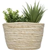 Atmosphera HACIENDA plant composition, 17 x 19 cm, natural pot