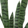 Atmosphera TOBY dirbtinis vazoninis sanseviera augalas, 90 cm