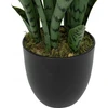 Atmosphera TOBY dirbtinis vazoninis sanseviera augalas, 90 cm