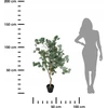 Atmosphera Dirbtinis eukalipto augalas, 127 cm