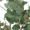Atmosphera Dirbtinis eukalipto augalas, 127 cm