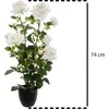 Atmosphera Dirbtinis augalas vazone BUSH Roses, 74 cm, baltas