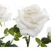 Atmosphera Dirbtinis augalas vazone BUSH Roses, 74 cm, baltas